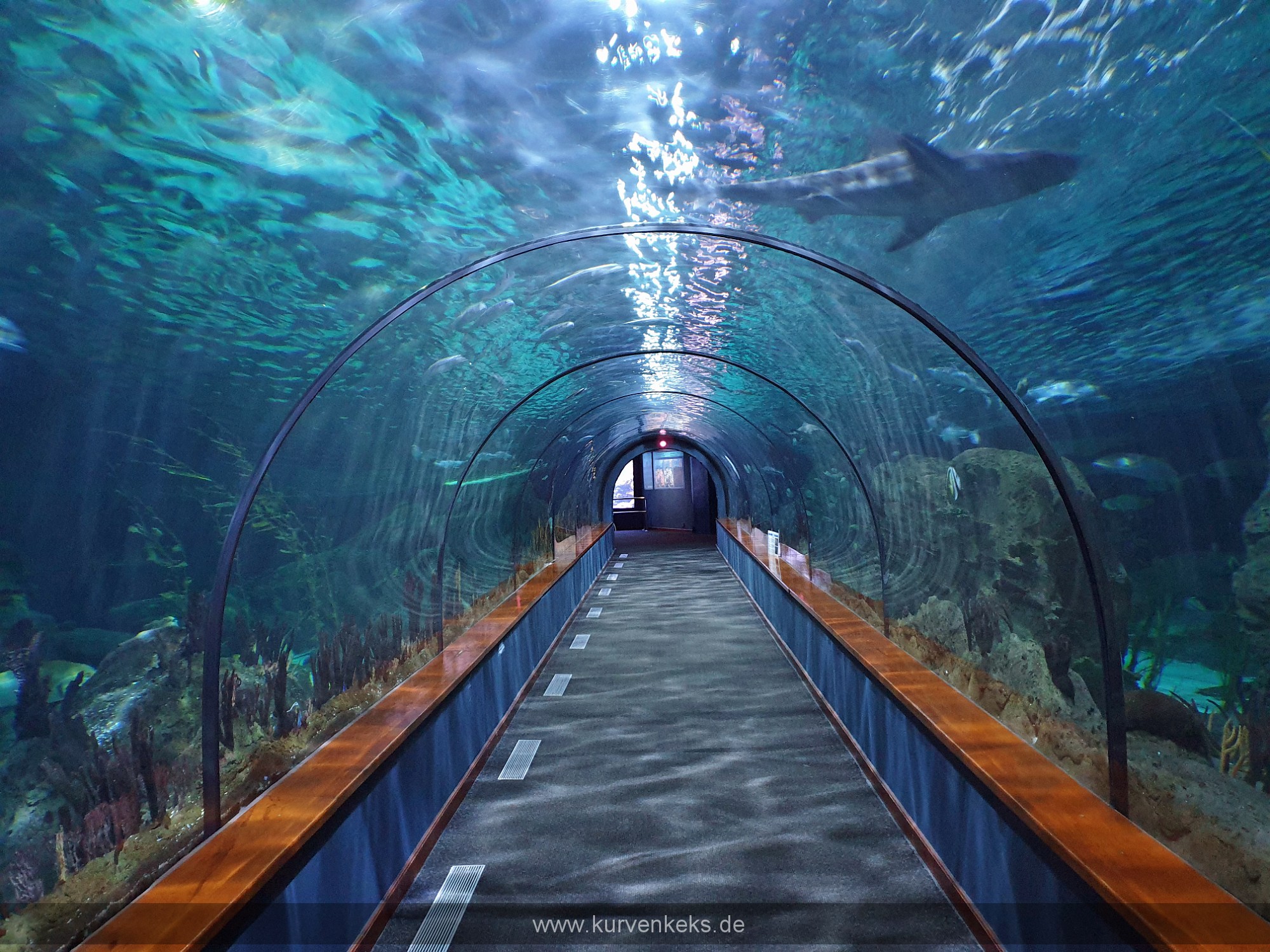 Loro Parque Teneriffa